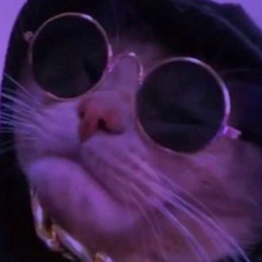 chilling_cat