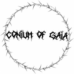 CONIUM OF GAIA