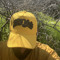 ramin_33_ramin