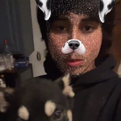 snip4rs