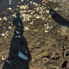 swimswimswim