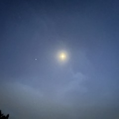 dfox