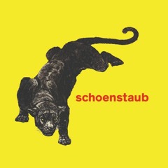 schoenstaub