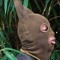 Kagiso Reed
