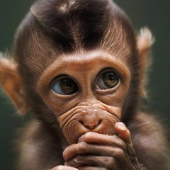 The Rigs - Devil S Playground Ost Iz Seriala Drevnie The Originals 3 Sezon (zf.fm)