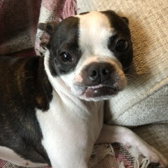 Ski Mask On Friday's