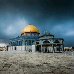 Mohamed Mohamed Hassanien