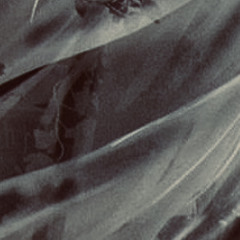 Truvy