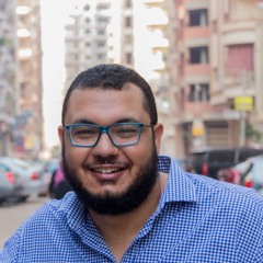 Mahmoud Rabie Nofal