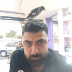 Danial Sadeghi