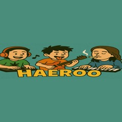 HAEROO