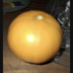 (bio for ratings) ت Jake ت