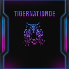 TigerNationDE Techno Sessions 2023 #001