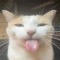 DJ AlbionTheCat