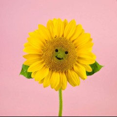 🌞𝕊𝕦𝕟𝕟𝕪 𝔽𝕝𝕠𝕨𝕖𝕣🌞