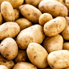 Potato Tribe