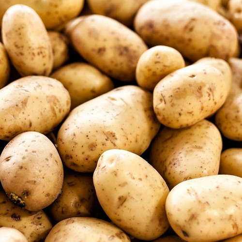 Potato Tribe’s avatar