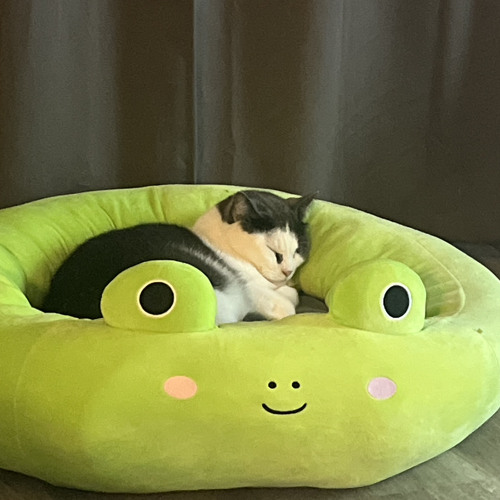 I'm Trapped In A Tank With The Water's Slowly Rising