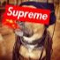 SUPREME BANDA EXCLUSIVE