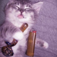 perqesss (@chiefs0sa1)