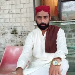 ملک محمد ارسلان ہموکہ