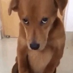 myries old acc (marukerro)