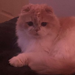 Angel★