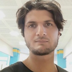 Michael Jardim