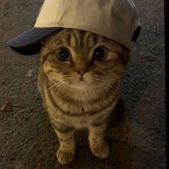 𝘽𝙪𝙞𝙎𝙮𝙏𝙧𝙪𝙣𝙜 💤