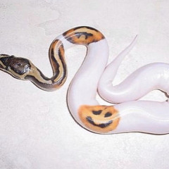 anxiety advertisement