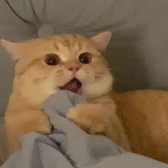 허준혁