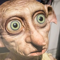 DOBBY