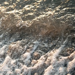 нƐŁɪØŤ尺ØЛɪҚΛ