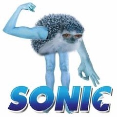 The best sonic