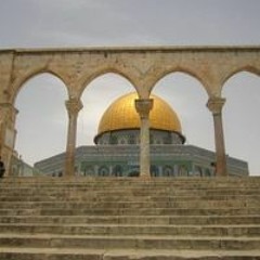 Han Elwy