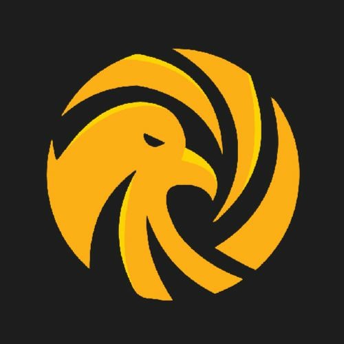 falcon_eye corporation’s avatar