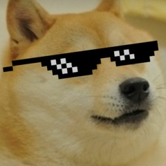 lavadog103