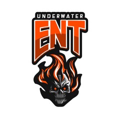 Underwater Entertainment®