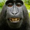monke