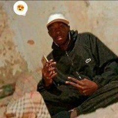 Trem Da Ozanam
