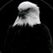 Hankey 🦅❤️