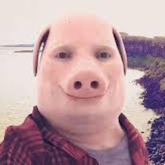 John Pork