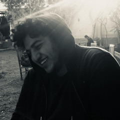 Saleh El Nawawy