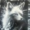 0.Fox