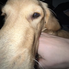 LuvFromOlay