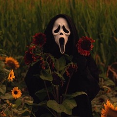 _tr.o.ll._