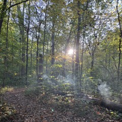 STONYRIDGES BIGGESTMYSTERY