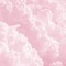 nellie_vrl.torney