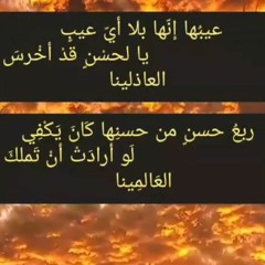 Yasmin A.  Elhamed