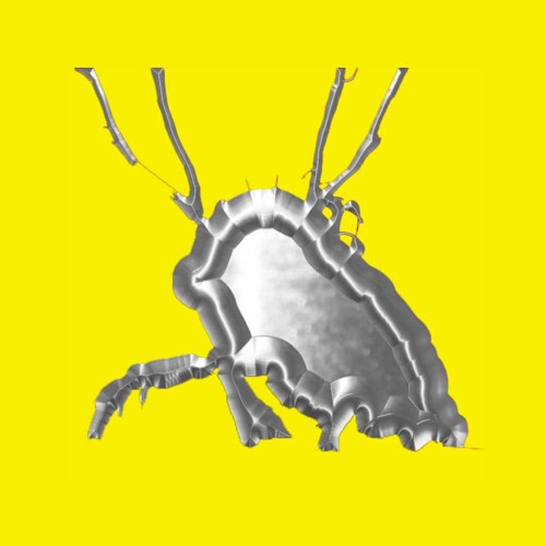 Aphid’s avatar